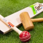 How to Knock in a Cricket Bat